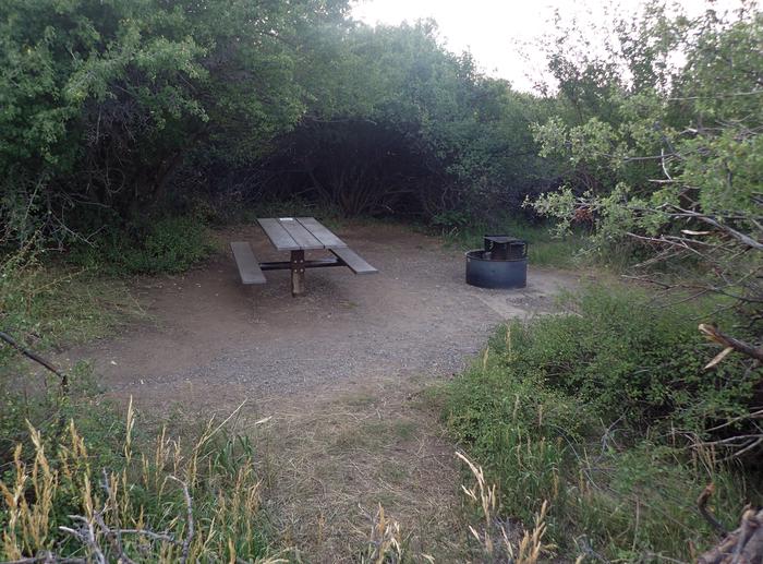 View of social space within Campsite B-006