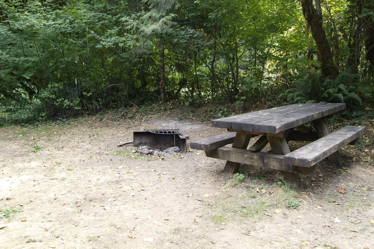 Table and fire ring for camp site 26. Camp site 26 table and fire ring. 
