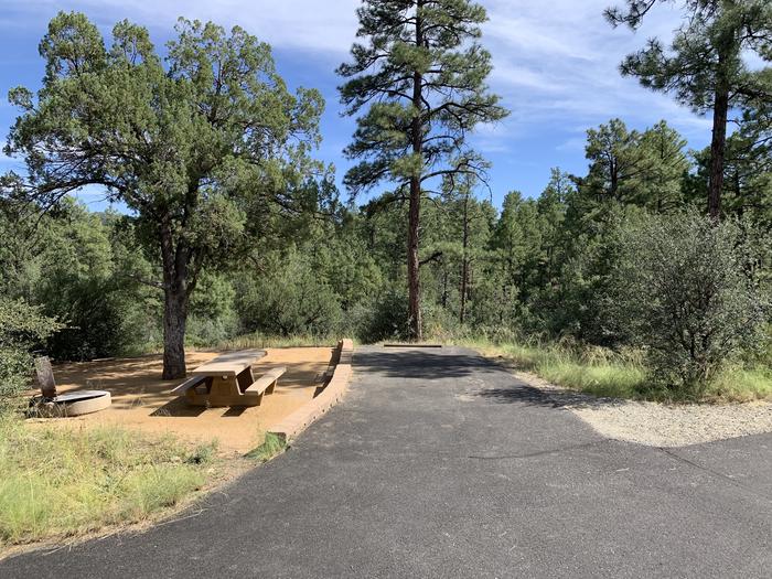 A photo of Site 29 of Loop G at LYNX CAMPGROUND with Picnic Table, Fire Pit