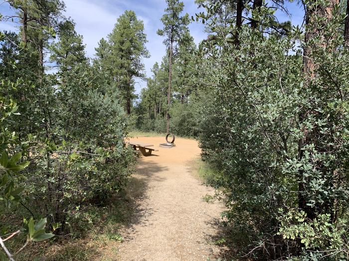 A photo of Site 09 of Loop B at LYNX CAMPGROUND with Picnic Table, Fire Pit. In foreground is 30 yard pathway from parking to campsite. 