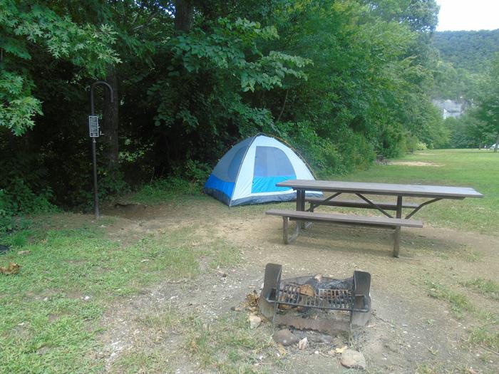 Steel Creek Camp Site #21