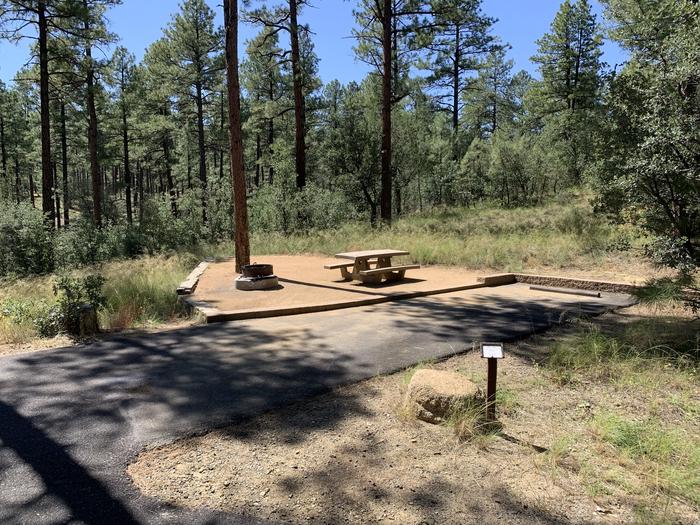 A photo of Site 15 of Loop D at LYNX CAMPGROUND with Picnic Table, Fire Pit. Back-in parking is in view. 