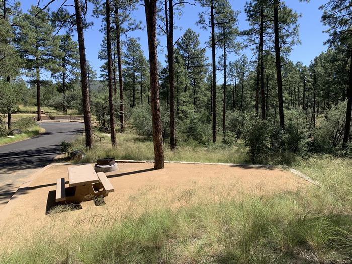 A photo of Site 15 of Loop D at LYNX CAMPGROUND with Picnic Table, Fire Pit