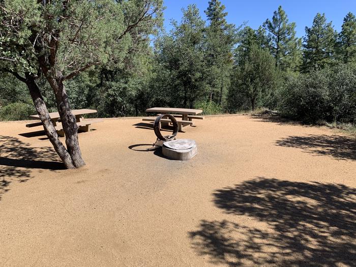 A photo of Site 22 of Loop E at LYNX CAMPGROUND with  2 Picnic Tables, Fire Pit