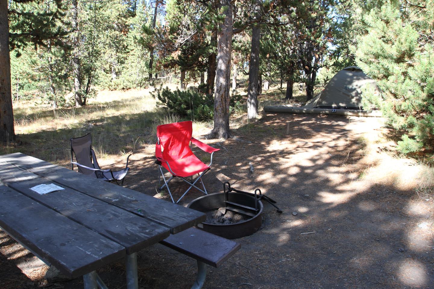 Indian Creek Campground site #37