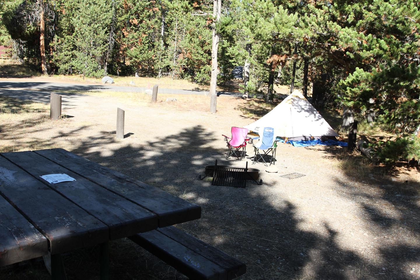 Indian Creek Campground site #43