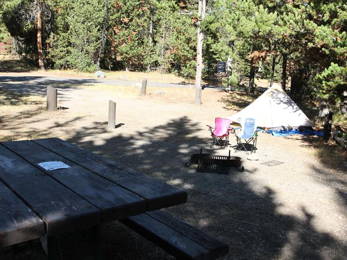 Indian Creek Campground site #43
