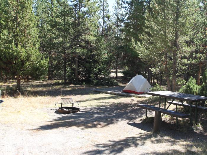 Indian Creek Campground site #45