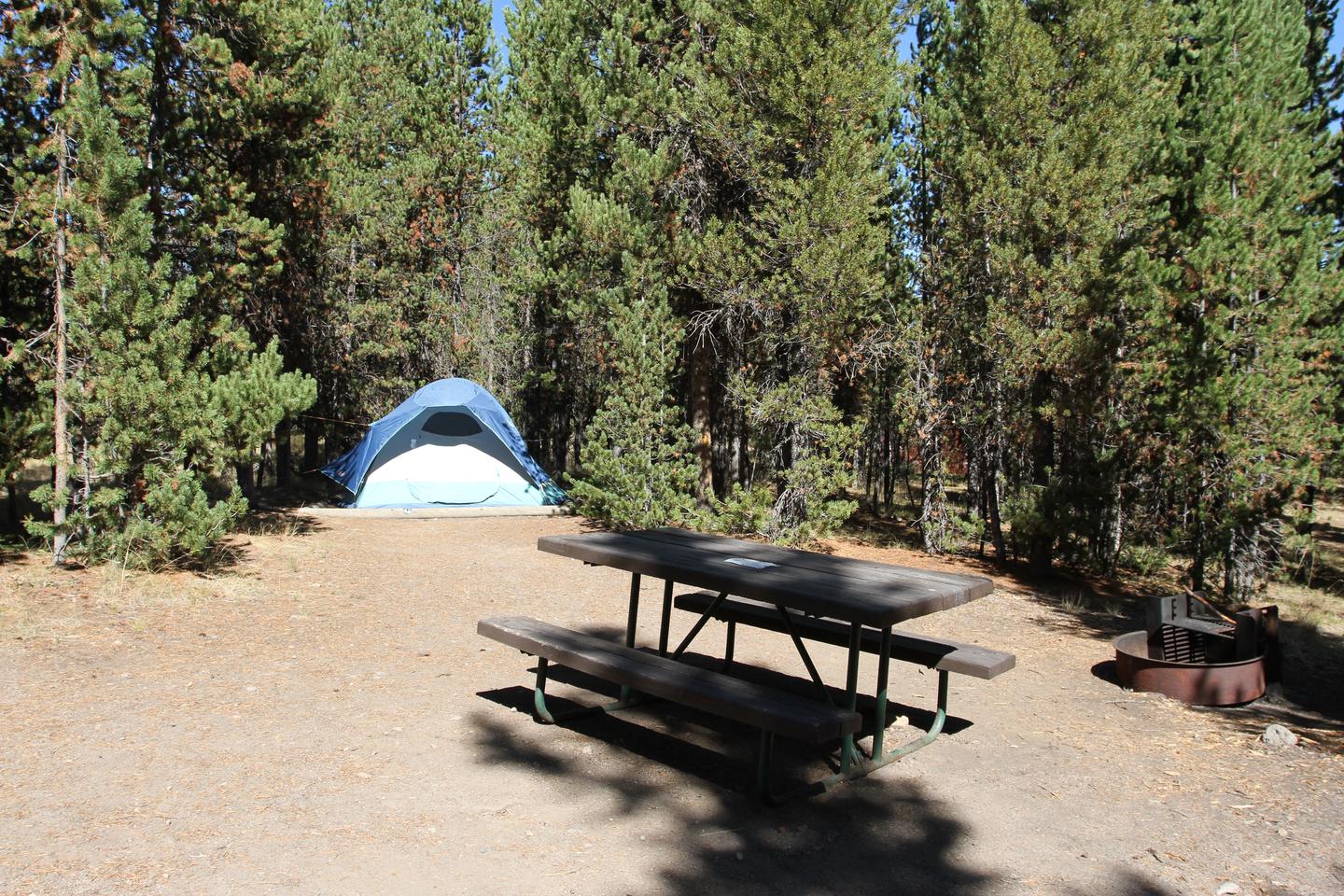 Indian Creek Campground site #48