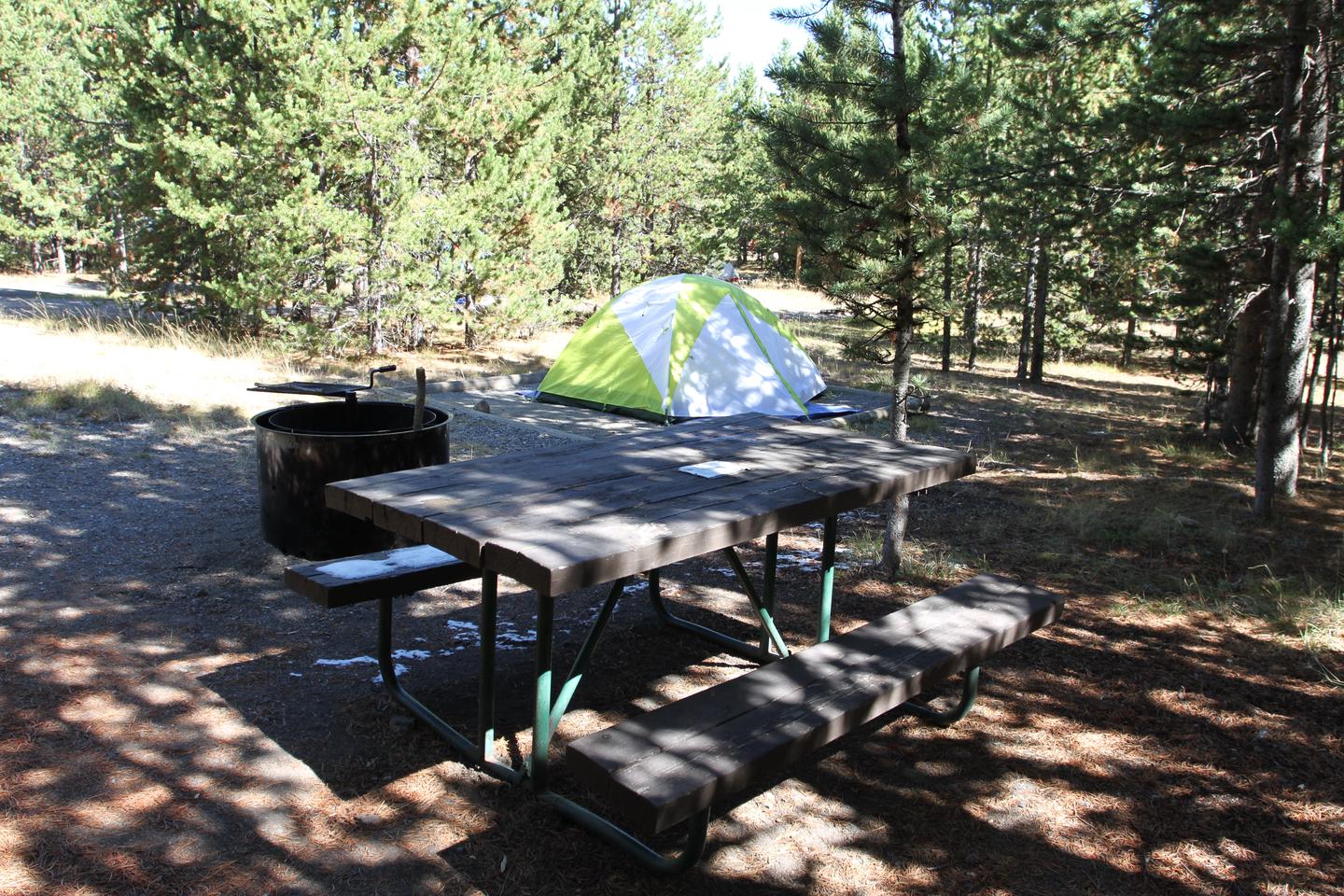 Indian Creek Campground site #49
