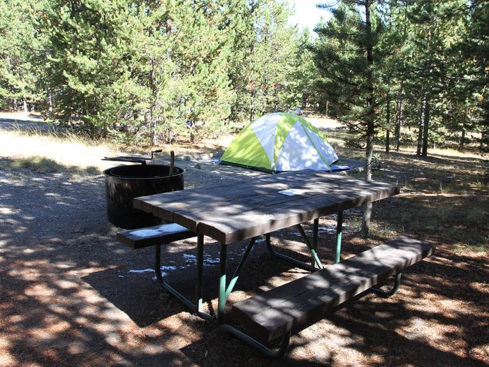 Indian Creek Campground site #49