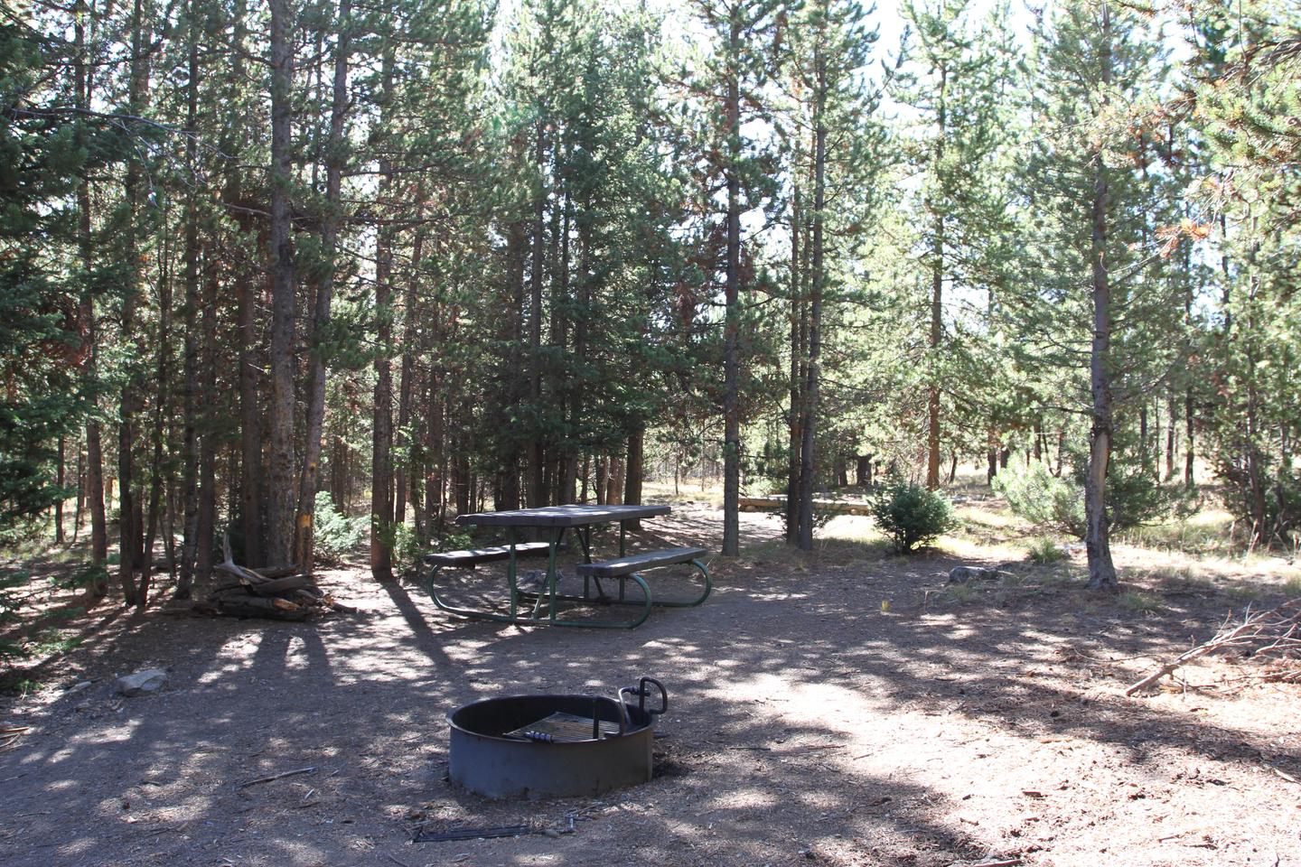 Indian Creek Campground site #51