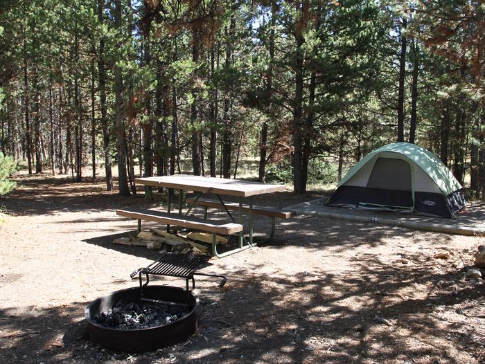 Indian Creek Campground site #56