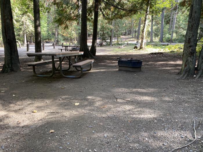 A photo of Site 19 of Loop BIRC at SPRINGY POINT with Picnic Table, Fire Pit, Shade, Tent Pad