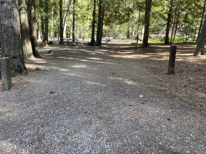A photo of Site 19 of Loop BIRC at SPRINGY POINT with Picnic Table, Fire Pit, Tent Pad