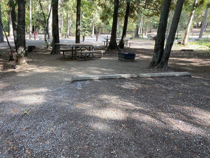A photo of Site 19 of Loop BIRC at SPRINGY POINT with Fire Pit, Shade, Tent Pad
