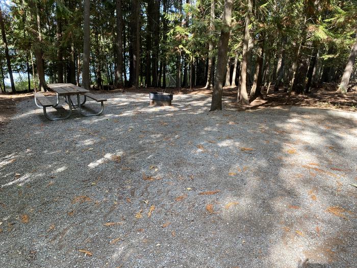 A photo of Site 16 of Loop BIRC at SPRINGY POINT with Picnic Table, Fire Pit, Tent Pad