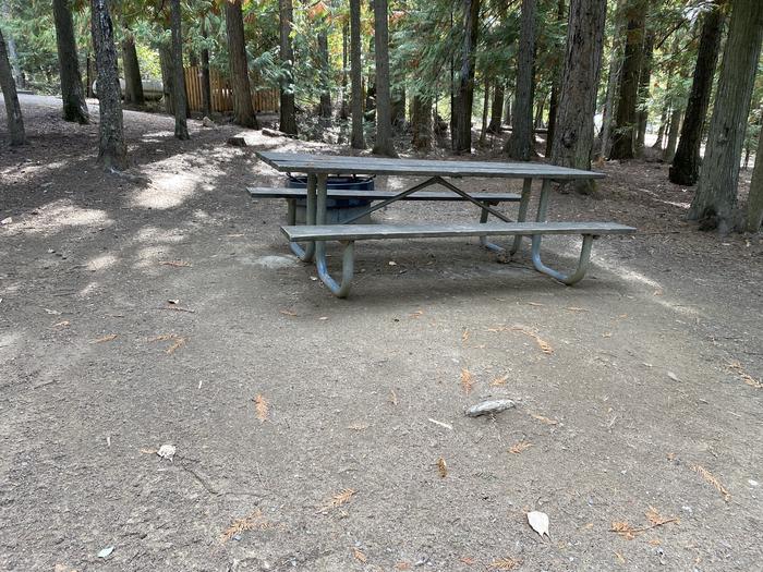 A photo of Site 22 of Loop BIRC at SPRINGY POINT with Picnic Table, Fire Pit
