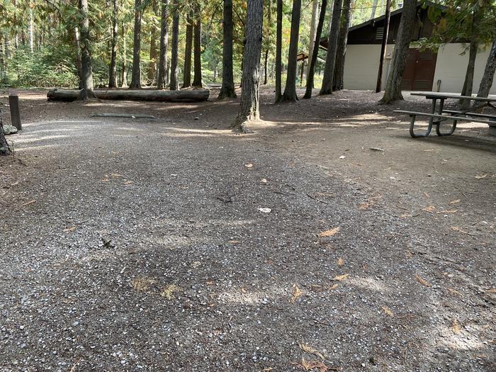 A photo of Site 22 of Loop BIRC at SPRINGY POINT with Picnic Table, Fire Pit, Shade, Tent Pad
