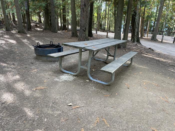 A photo of Site 22 of Loop BIRC at SPRINGY POINT with Picnic Table, Fire Pit