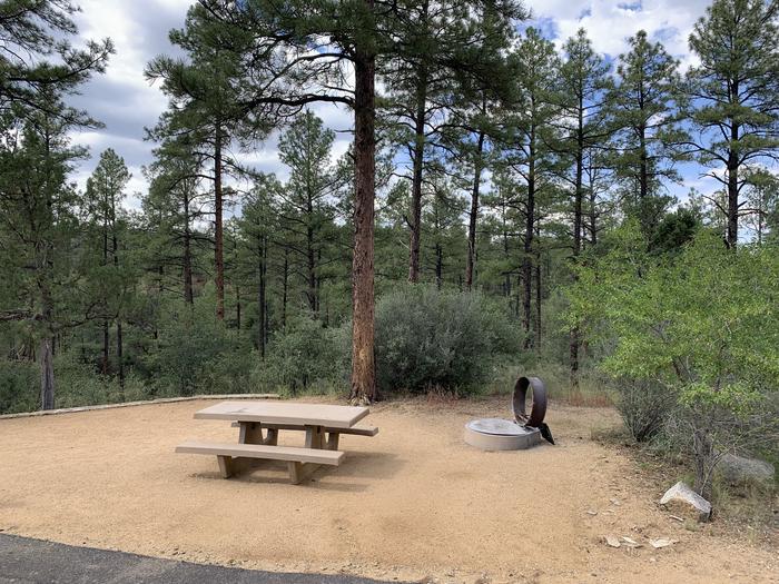 A photo of Site 06 of Loop B at LYNX CAMPGROUND with Picnic Table, Fire Pit