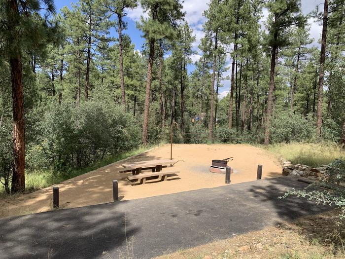 A photo of Site 18 of Loop D at LYNX CAMPGROUND with Picnic Table, Fire Pit, Lantern Pole