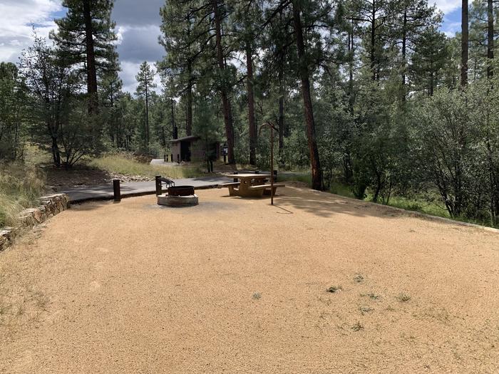 A photo of Site 18 of Loop D at LYNX CAMPGROUND with Picnic Table, Fire Pit, Lantern Pole. View towards campground with vault toilet in background. 