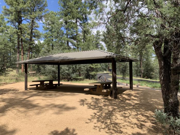 A photo of Site 19 of Loop D at LYNX CAMPGROUND with Picnic Table, Fire Pit, Shade