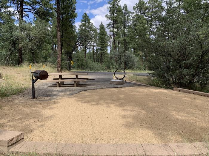 A photo of Site 20 of Loop D at LYNX CAMPGROUND with Picnic Table, Fire Pit