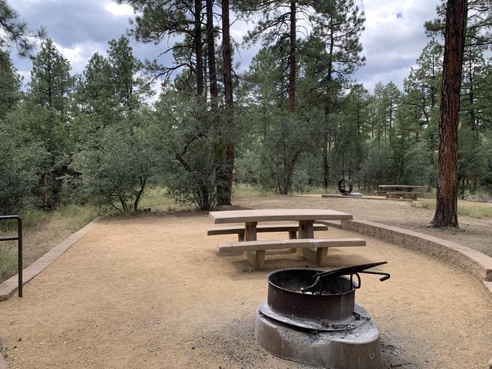 A photo of Site 11 of Loop C at LYNX CAMPGROUND with Picnic Table, Fire Pit. Site 13 is in background. 