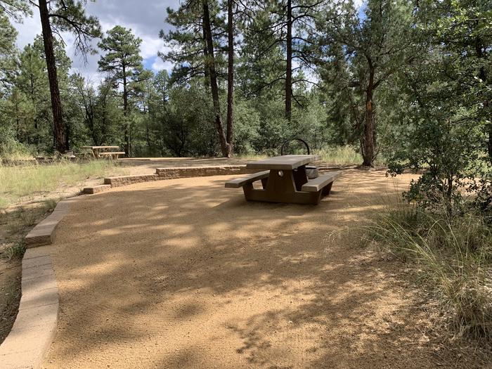 A photo of Site 13 of Loop C at LYNX CAMPGROUND with Picnic Table, Fire Pit with Site C11 in background. 