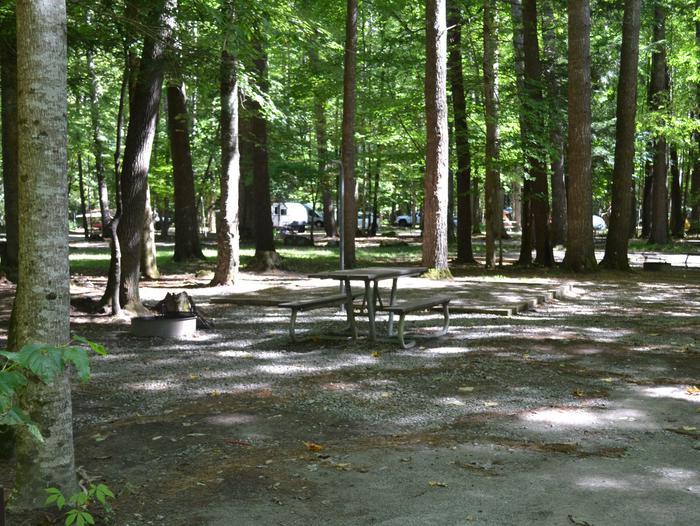 Cataloochee Campground Site 1Site 1 with picnic table and fire ring
