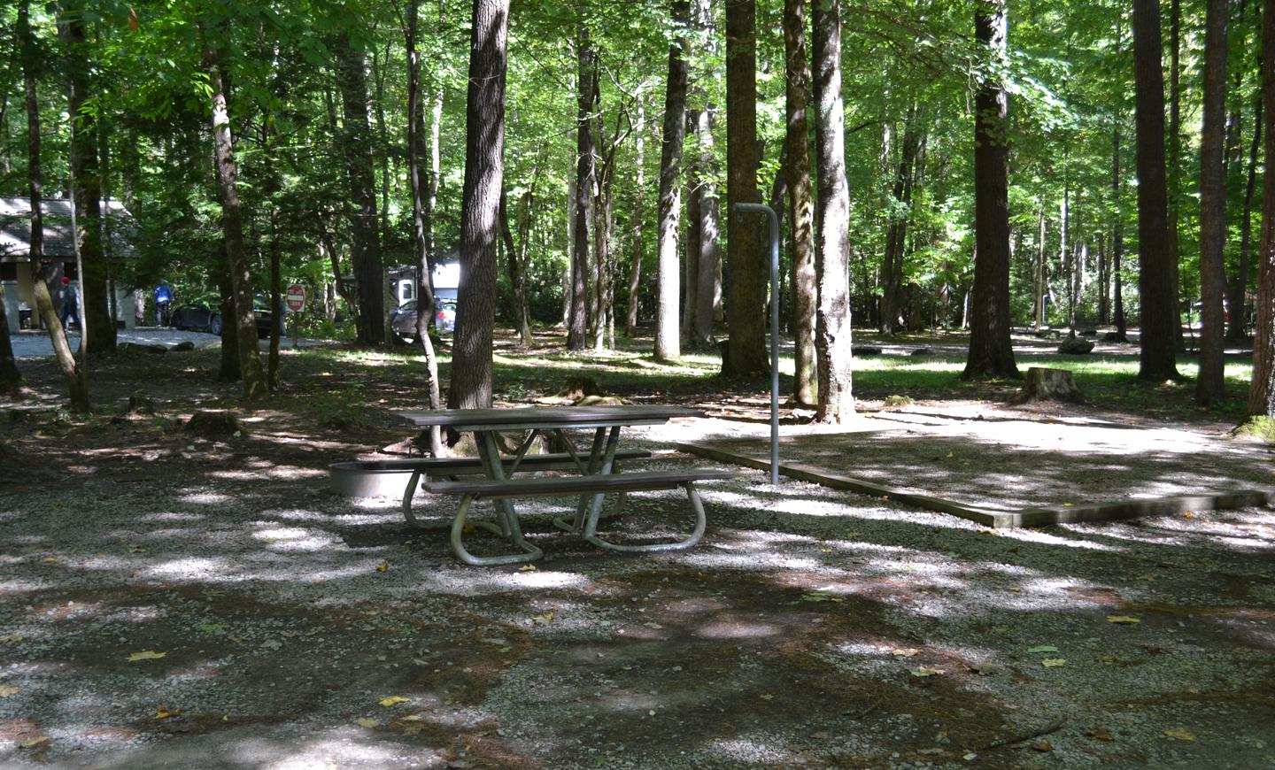 Cataloochee Campground Site 1Site 1 picnic table, fire ring and tent pad