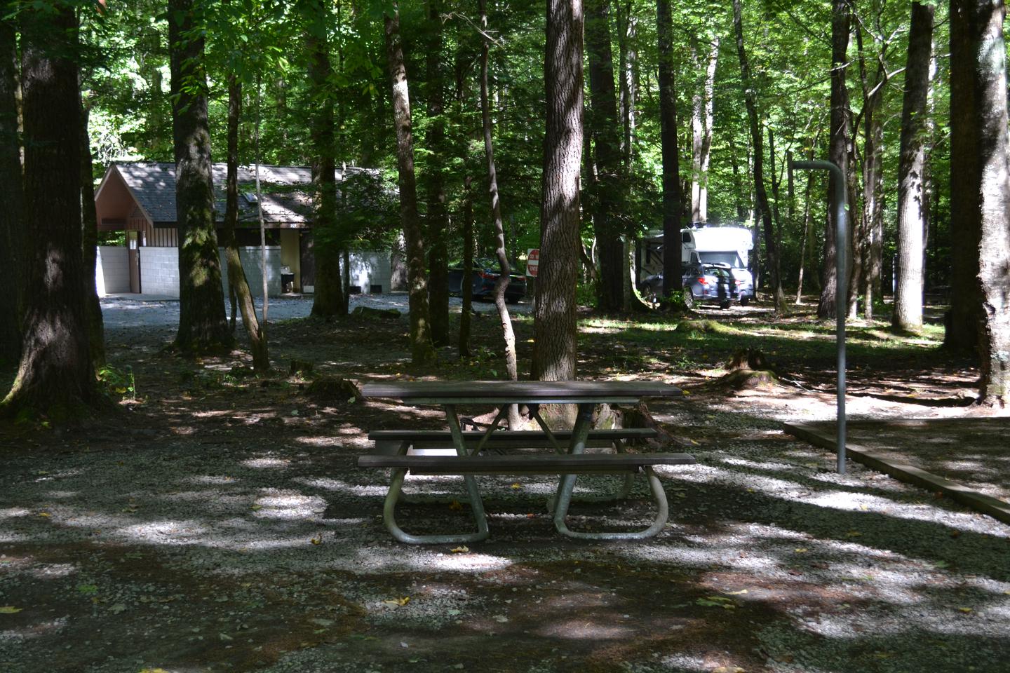 Site 1 Cataloochee CampgroundPicnic table with restroom facility in background