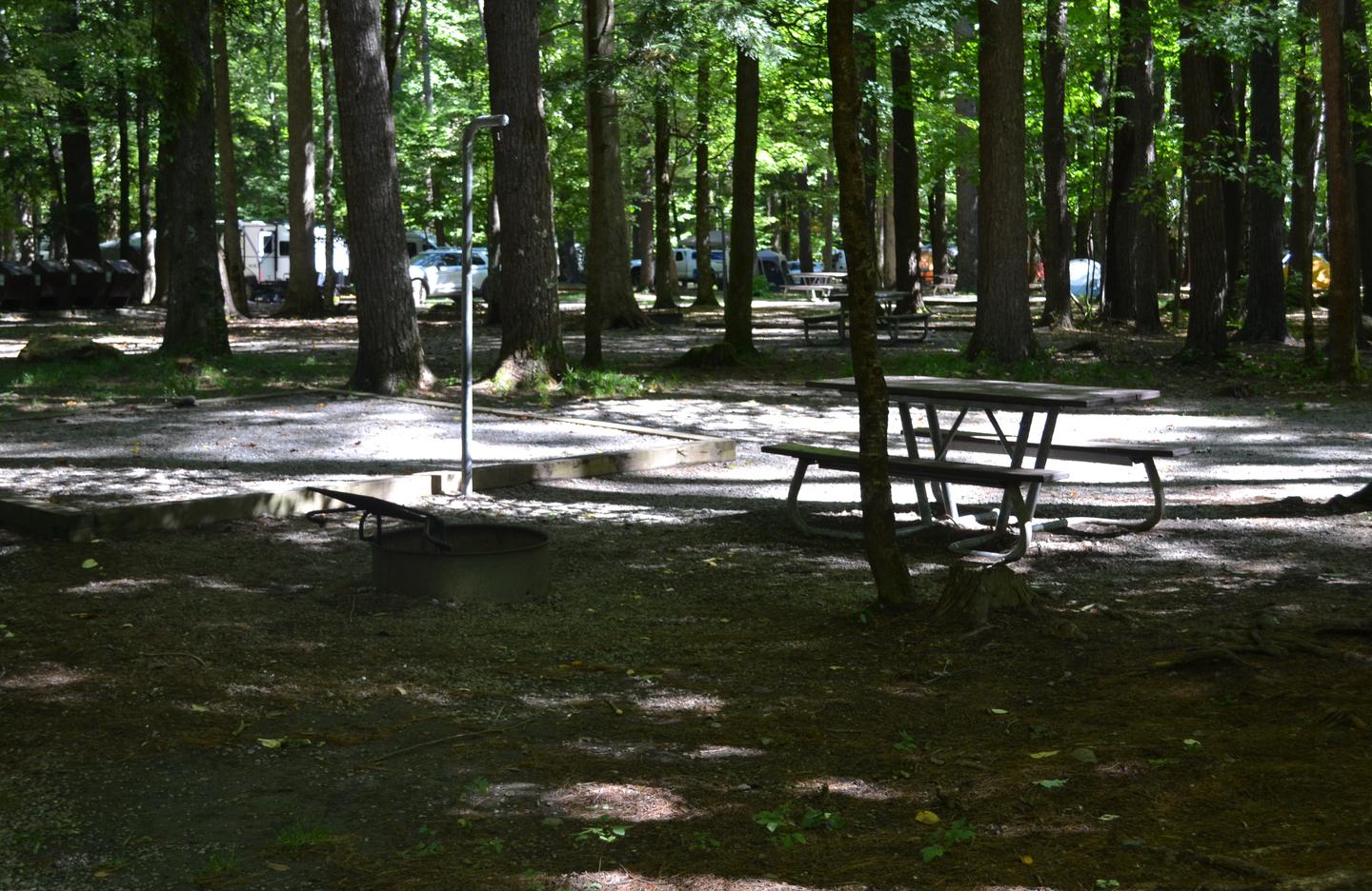 Cataloochee Campground Site 2Picnic table and tent pad with restroom facility in background