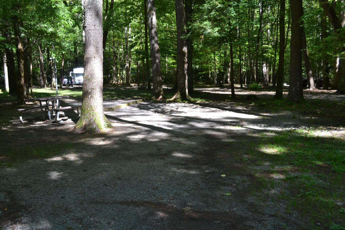 Cataloochee Campground Site 2 with parking areaPicnic table shown in relation to parking area