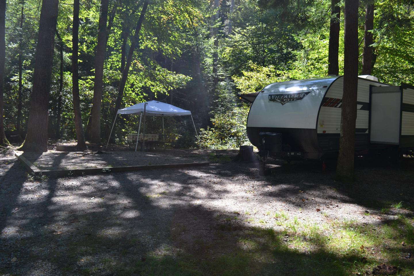 Site 3 Cataloochee CampgroundSite 3 as enter campground showing tent pad, parking area and picnic table locations