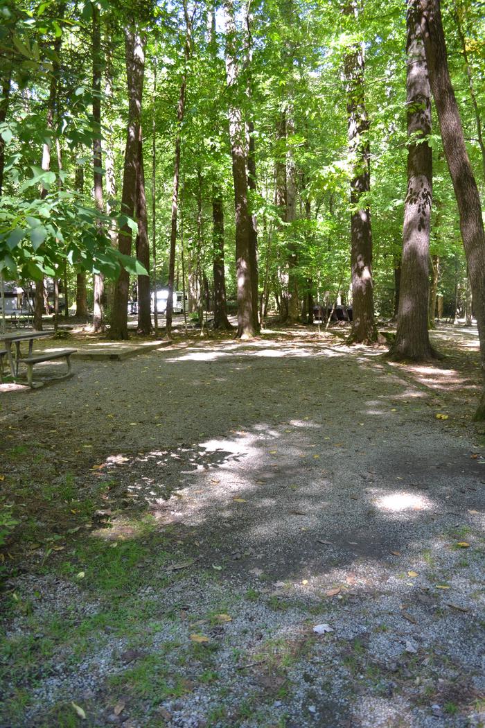 Cataloochee Campground Site 4Site 4 location of tent pad and picnic table in relation to site parking area