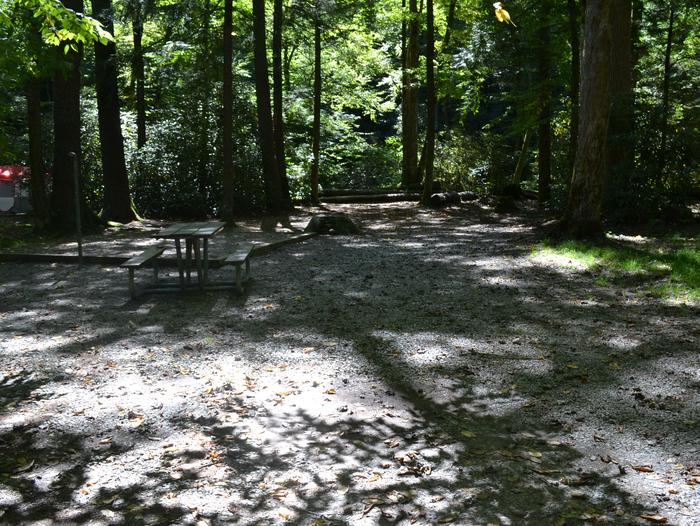 Cataloochee Campground Site 5Site 5 showing parking area, picnic table and tent pad