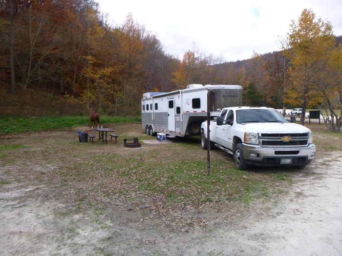 Steel Creek Horse Camp Site #29
