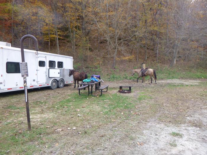 Steel Creek Horse Camp Site #34