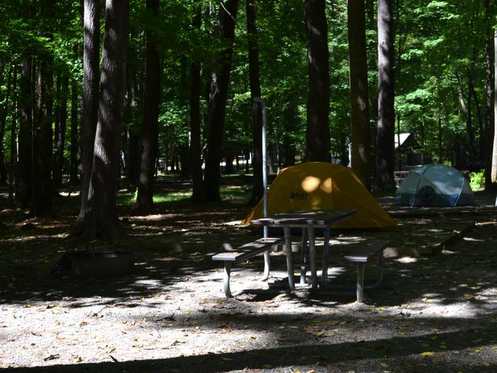 Cataloochee Campground Site 6Picnic table in foreground with tent on pad