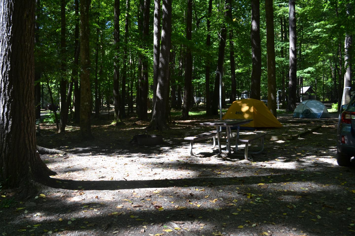 Site 6 Cataloochee CampgroundTent pad and picnic table with firepit with parking nearby