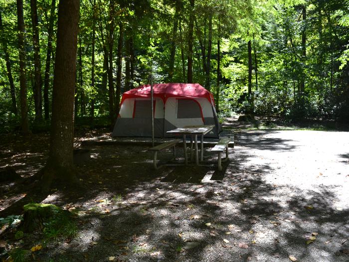 Cataloochee Campground Site 8Tent pad in relation to picnic table