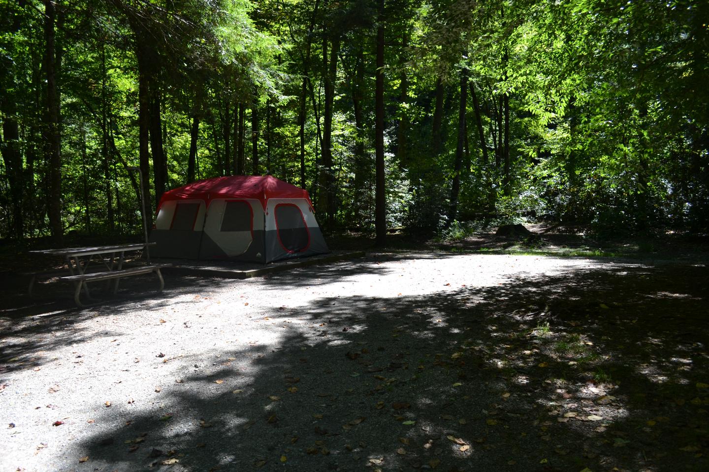 Cataloochee Campground Site 8Tent pad in relation to picnic table