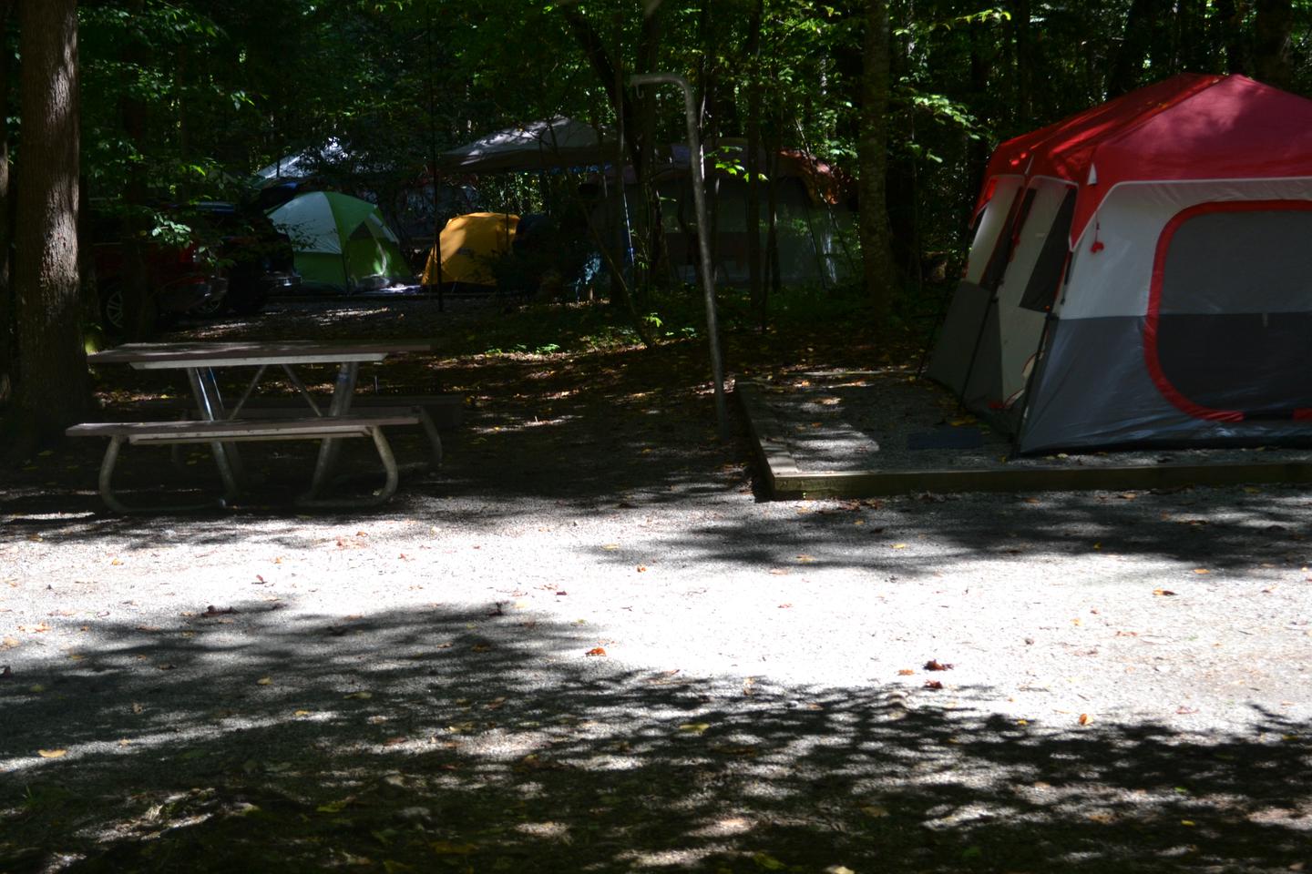 Site 8 at CataloocheeTent pad and picnic table showing relation to neighboring campsite