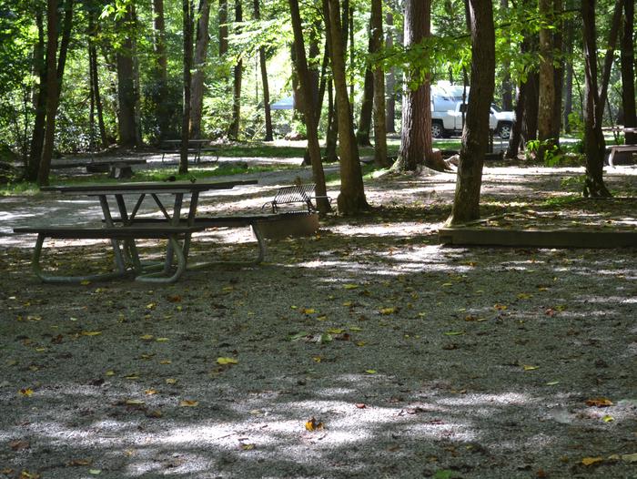 Cataloochee Campground Site 26Picnic table with fire ring