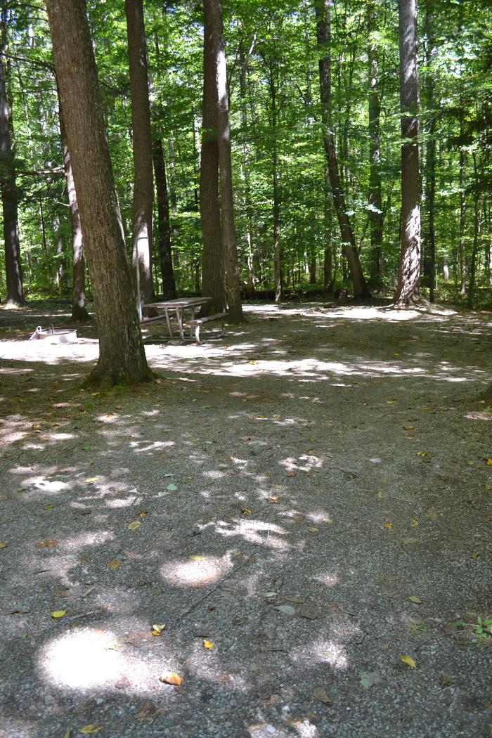 Cataloochee Campground 11Parking area with picnic table
