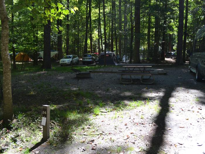Cataloochee Campground Site 16Site 16 showing parking area with picnic table and fire ring