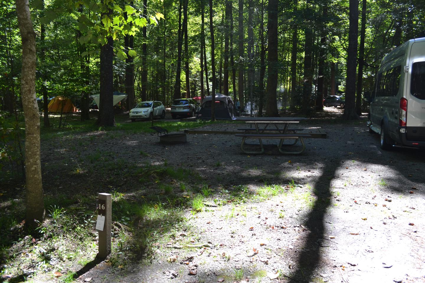Cataloochee Campground Site 16Parking area with picnic table and tent pad in shade